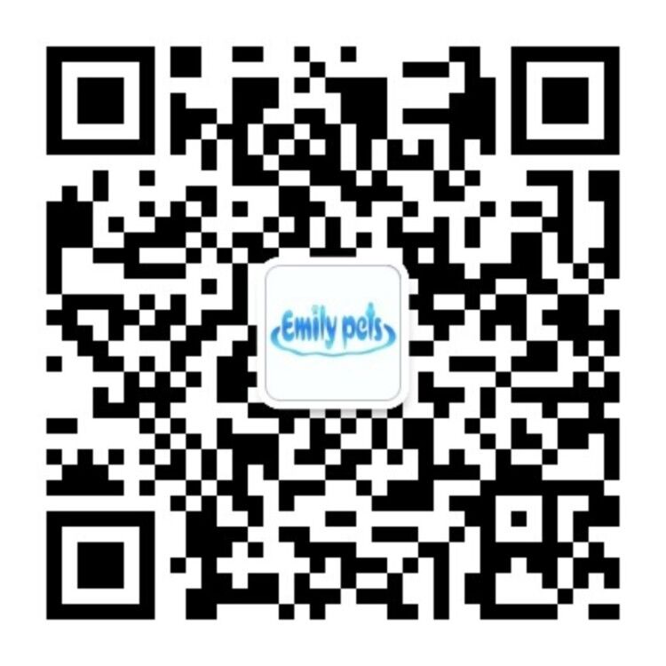 Emily公众号