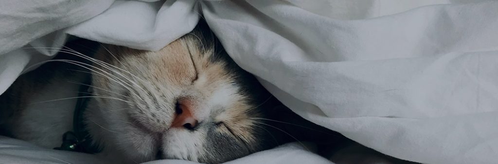 订阅我们